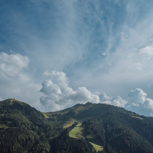 Blick auf die Berge und Wälder rund um die Martenalm