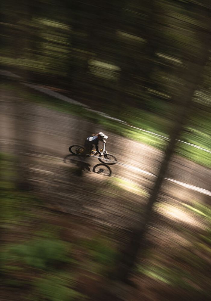 Mountainbiker auf einem Waldtrail