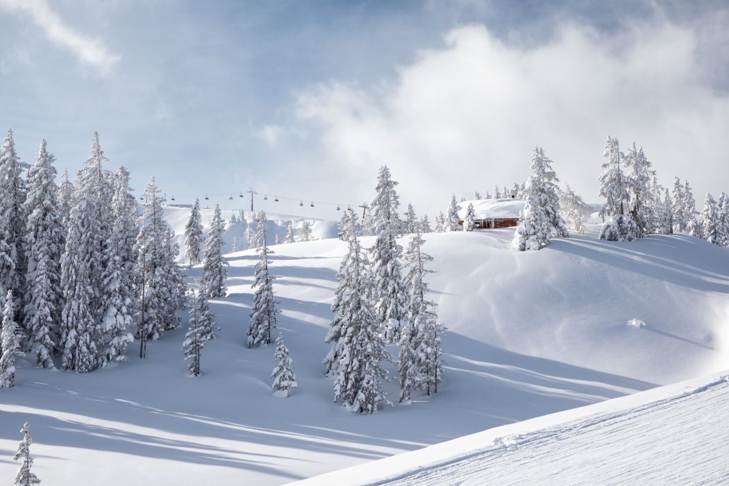Verschneite Bäume und Pisten im Skigebiet