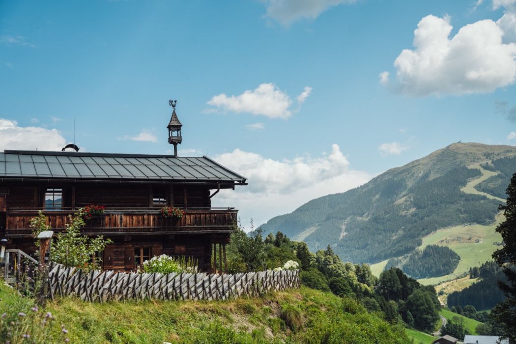 Martenalm mit umzäunter Terrasse und Bergblick