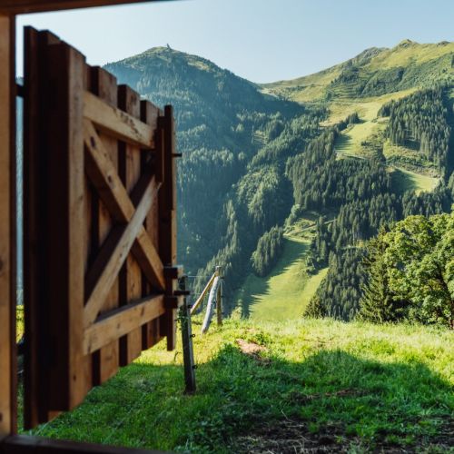 Blick durch die offene Stalltür auf die Berglandschaft