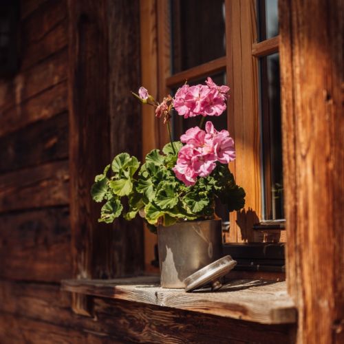 Blumengeschmücktes Fenster an der Holzfassade der Martenalm